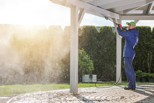 Solar Panel Cleaning in Connerton, FL